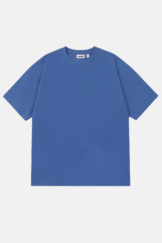 Vany Erkek Regular Fit Bisiklet Yaka T-Shirt Mavi