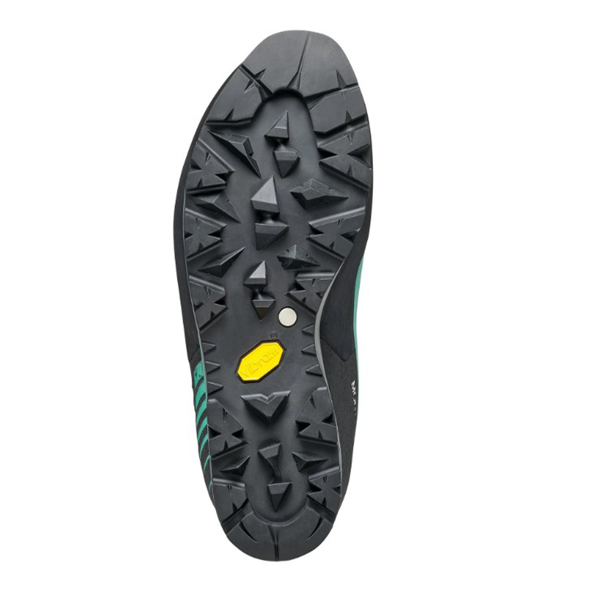 Scarpa Mont Blanc Pro Gore-Tex WMN Kadın Tırmanış Botu