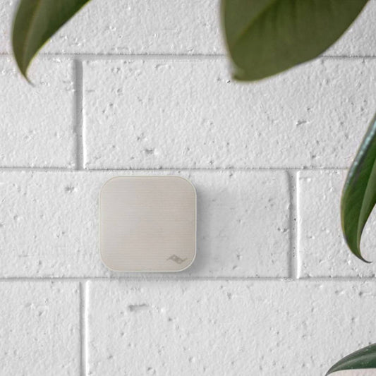 Wall Mount Manyetik Duvar Bağlantı Aparatı - Bone